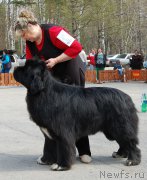 Превью фото № 181248