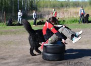 Превью фото № 181303