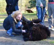 Превью фото № 181320