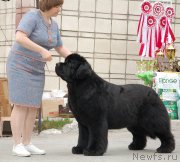 Превью фото № 181355