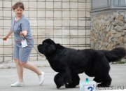 Превью фото № 181356