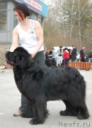 Превью фото № 181358