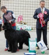 Превью фото № 181392