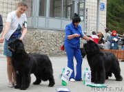 Превью фото № 181393