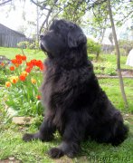 Превью фото № 181395