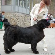 Превью фото № 181399