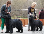 Превью фото № 181403