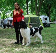 Превью фото № 181418