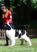 Превью фото № 181419