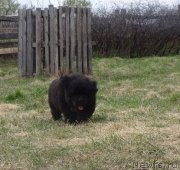 Превью фото № 181439