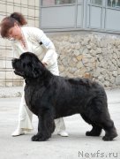 Превью фото № 181451