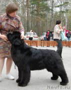 Превью фото № 181457