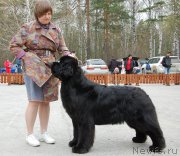 Превью фото № 181458