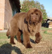 Превью фото № 181511