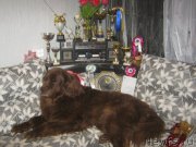 Превью фото № 181530