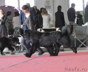 Превью фото № 181539