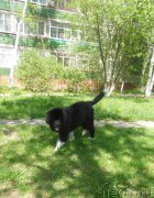 Превью фото № 181573