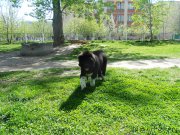 Превью фото № 181574