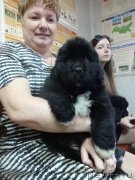 Превью фото № 181598