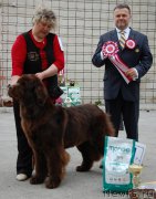 Превью фото № 181613