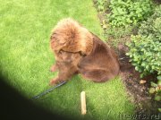 Превью фото № 181635