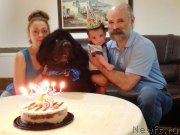 Превью фото № 181651