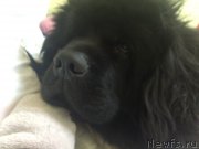 Превью фото № 181701