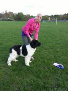 Превью фото № 181704