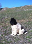 Превью фото № 181714