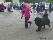 Превью фото № 181728