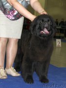 Превью фото № 181747