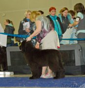 Превью фото № 181748