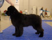 Превью фото № 181750