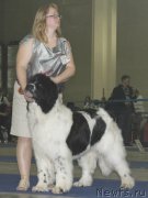 Превью фото № 181754