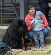 Превью фото № 181760