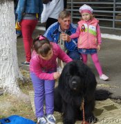 Превью фото № 181762