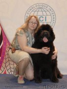 Превью фото № 181765