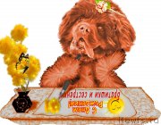 Превью фото № 181776