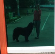 Превью фото № 181895