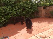 Превью фото № 181937