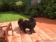 Превью фото № 181938