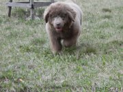 Превью фото № 181949