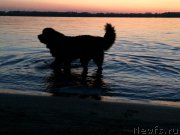 Превью фото № 182037