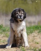 Превью фото № 182052