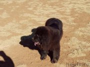 Превью фото № 182091