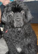 Превью фото № 182096