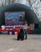 Превью фото № 182103