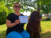 Превью фото № 182142