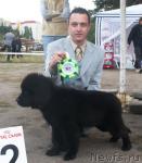 Превью фото № 18215