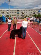 Превью фото № 182150